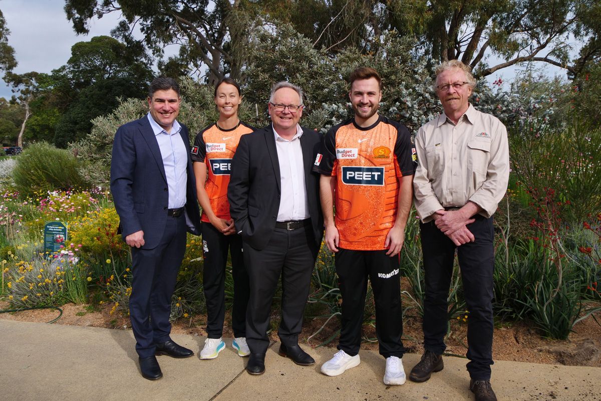 Scorchers-Flame-PG5_1159-1200x800